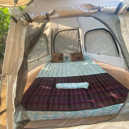 Bajo Las Estrellas Eco Glamping مازونتي المظهر الخارجي الصورة