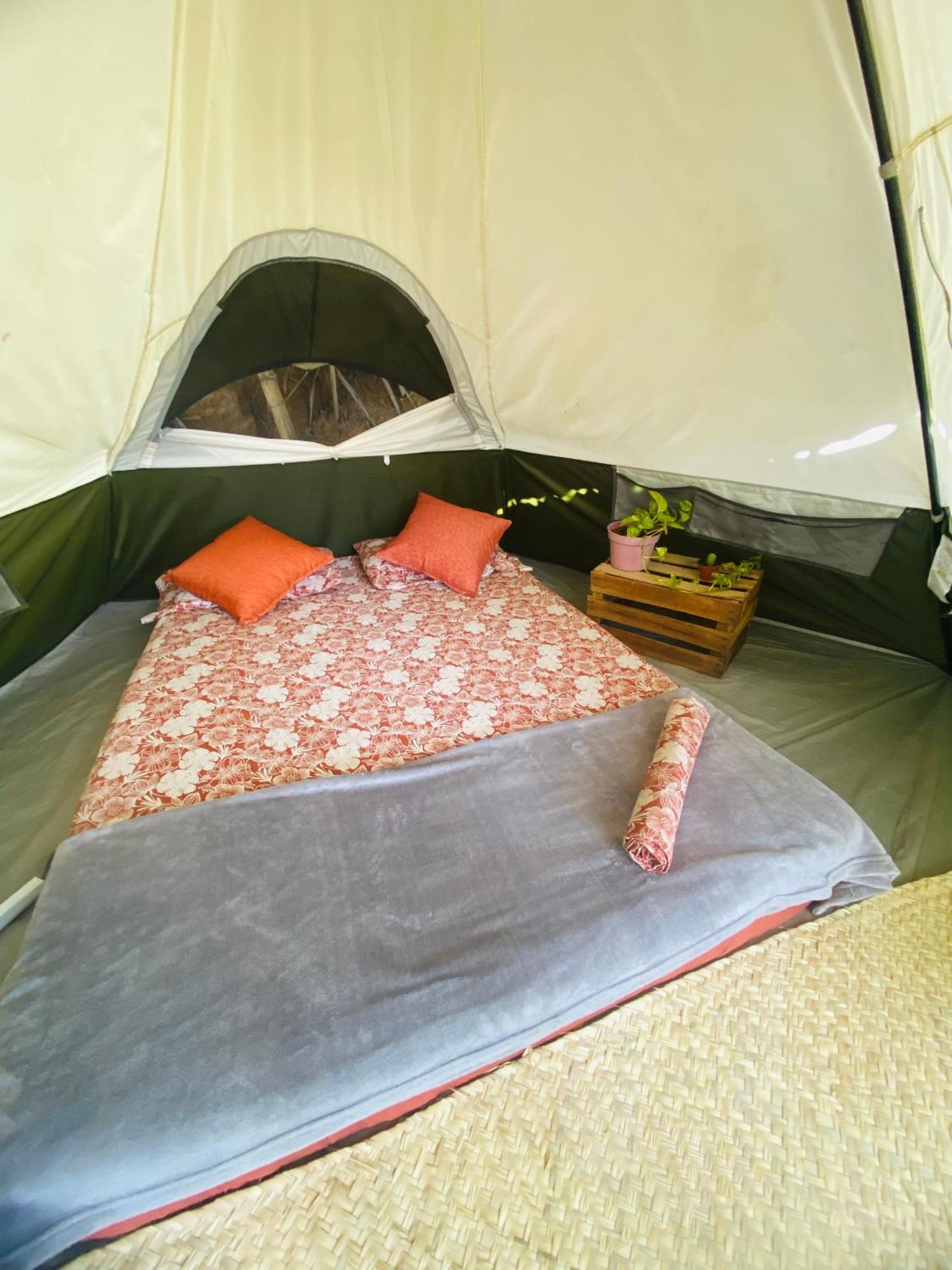 Bajo Las Estrellas Eco Glamping مازونتي المظهر الخارجي الصورة