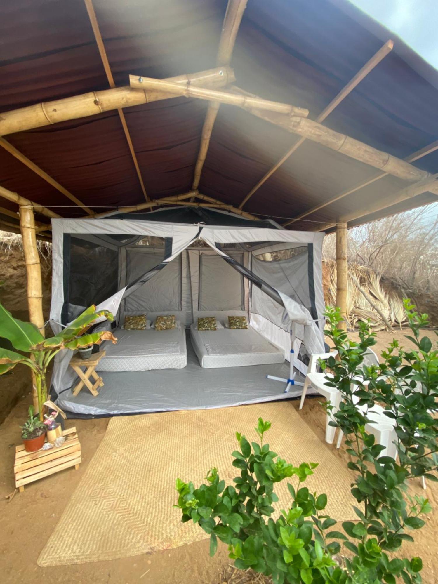 Bajo Las Estrellas Eco Glamping مازونتي المظهر الخارجي الصورة