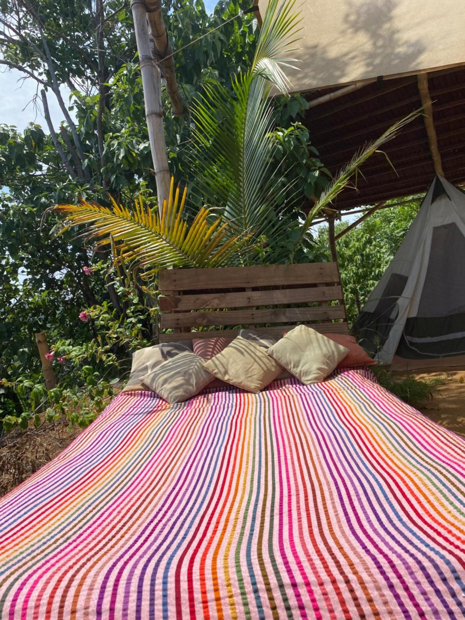 Bajo Las Estrellas Eco Glamping مازونتي المظهر الخارجي الصورة