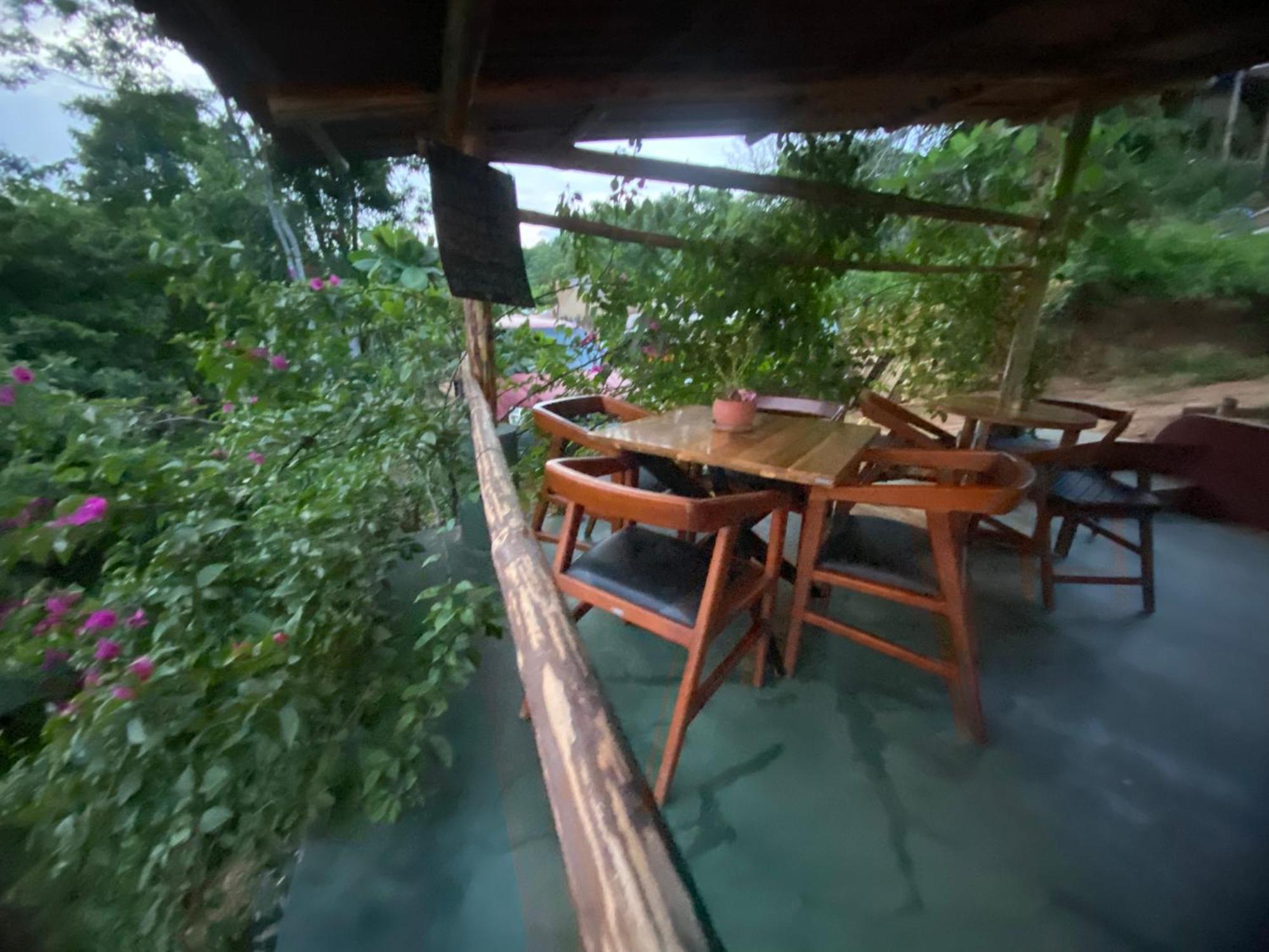 Bajo Las Estrellas Eco Glamping مازونتي المظهر الخارجي الصورة