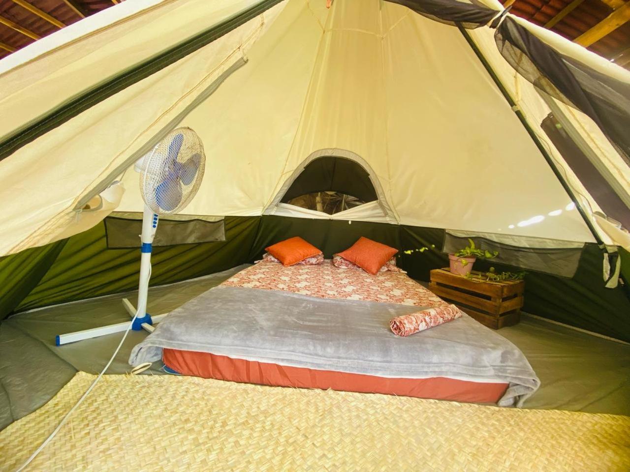 Bajo Las Estrellas Eco Glamping مازونتي المظهر الخارجي الصورة