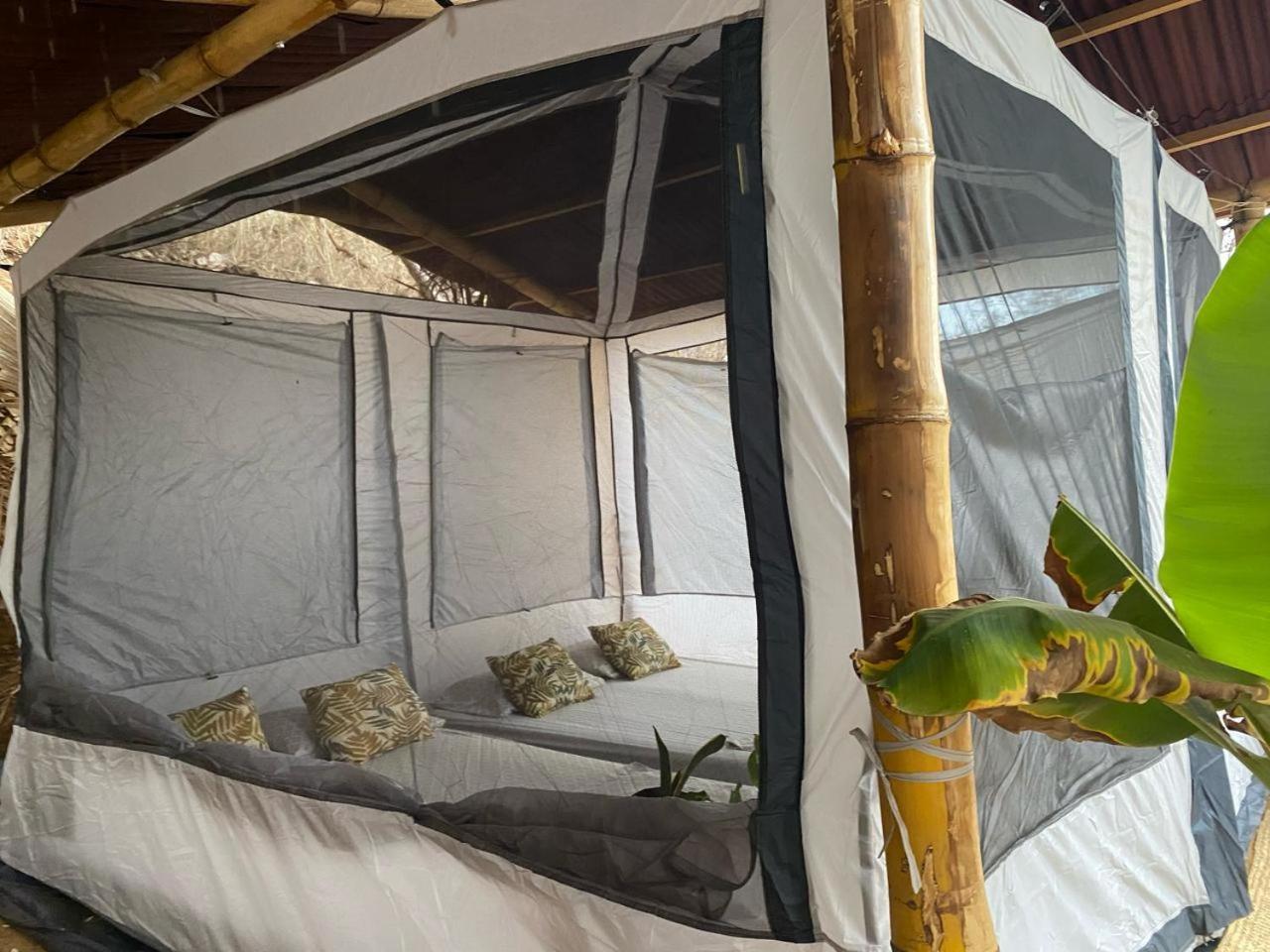Bajo Las Estrellas Eco Glamping مازونتي المظهر الخارجي الصورة